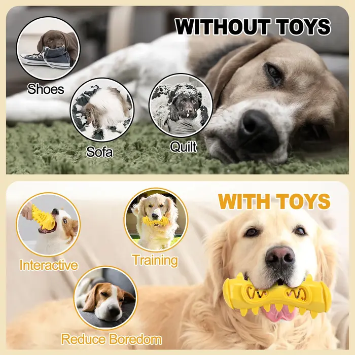Jouets à mâcher en forme d'os pour chien