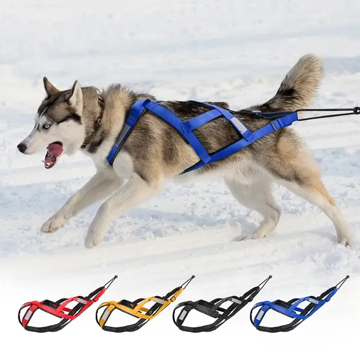 Harnais de traîneau réfléchissant pour chien