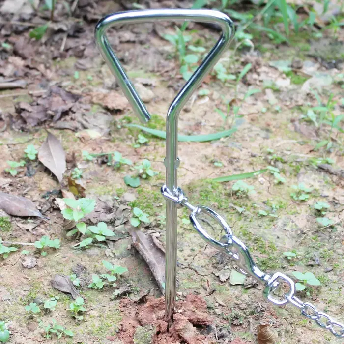 Piquet d'attache pour chien, grands piquets pour chiens, pile fixe, laisse au sol, câble en fer robuste