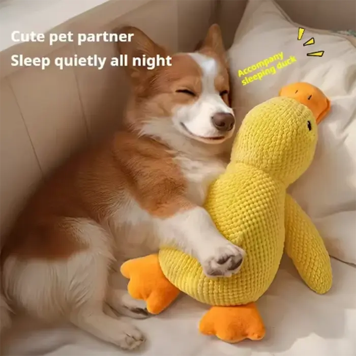 Jouet en peluche pour chien