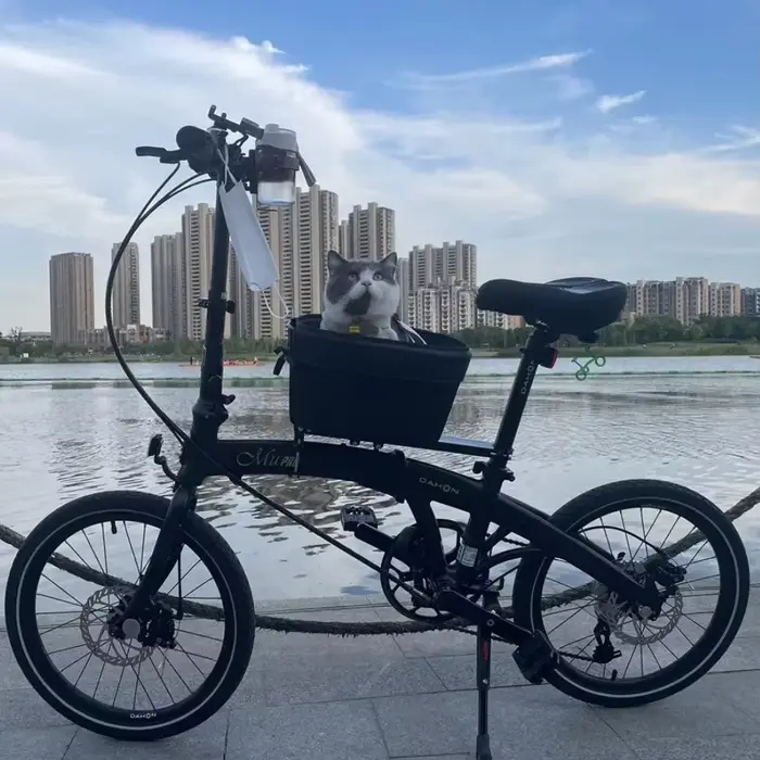 Panier de vélo durable pour animaux de compagnie