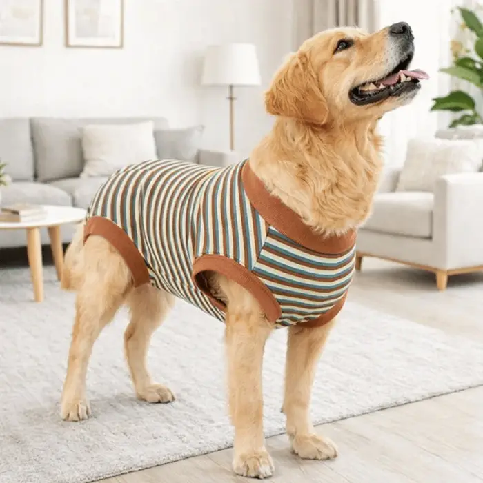 Combinaison pour chien