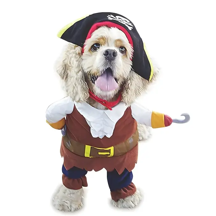 Vêtements drôles pour animaux de compagnie Pirate chien chat Costume Costume Corsair habillage vêtem