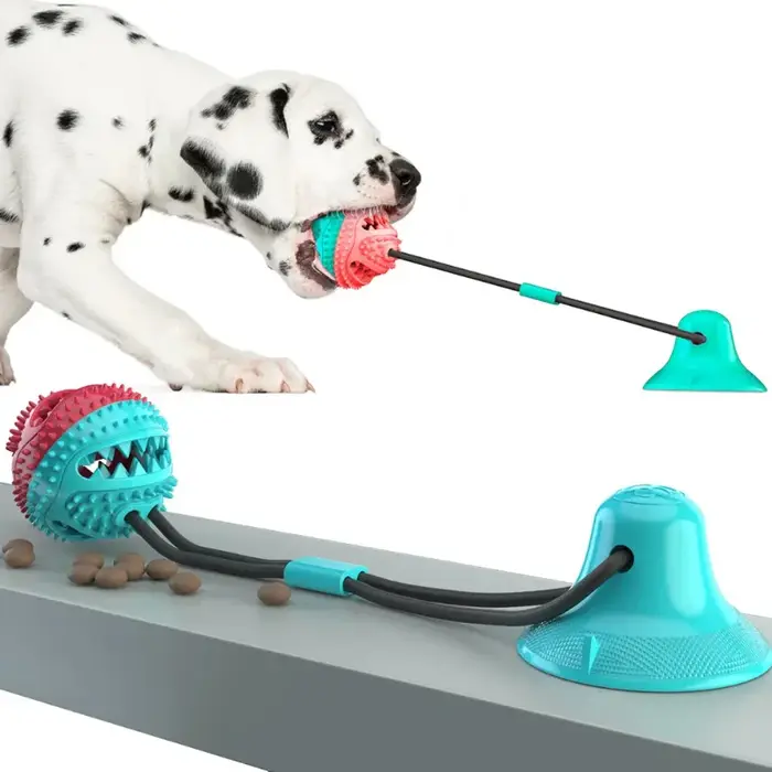 Jouets alimentaires pour chiens