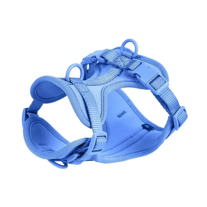 Harnais pour chien couleur bonbon, gilet réfléchissant et respirant pour Chihuahua, accessoires régl