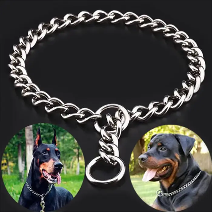 Collier de chaîne serpent pour animaux de compagnie