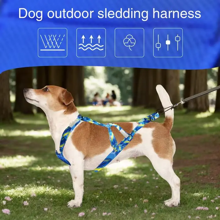 Harnais de course pour chien fibre durable polyvalent pour entraînement sportif randonnée vélo skijoring occasions spéciales
