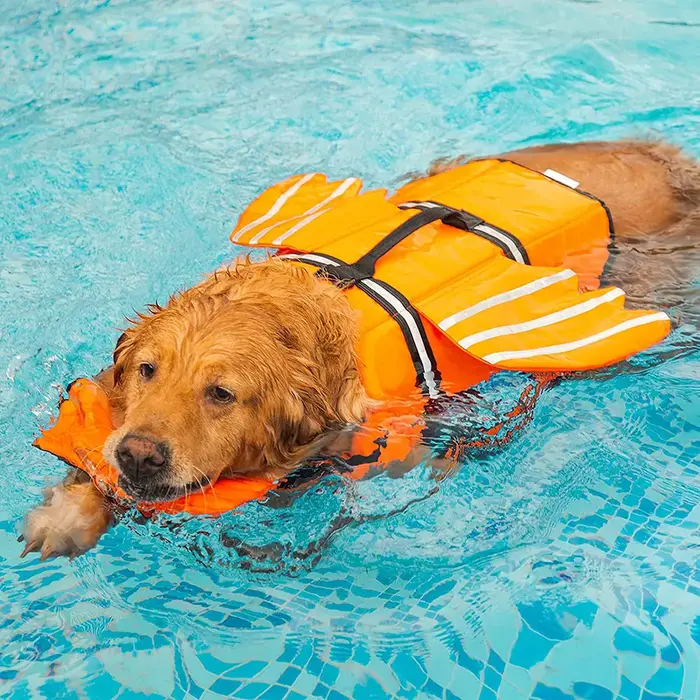 Gilet de sauvetage ailes pour chiens