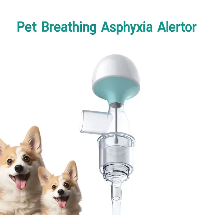 Alerte d'asphysique respiratoire pour animaux de compagnie, pour chat et chien, alarme d'étouffement