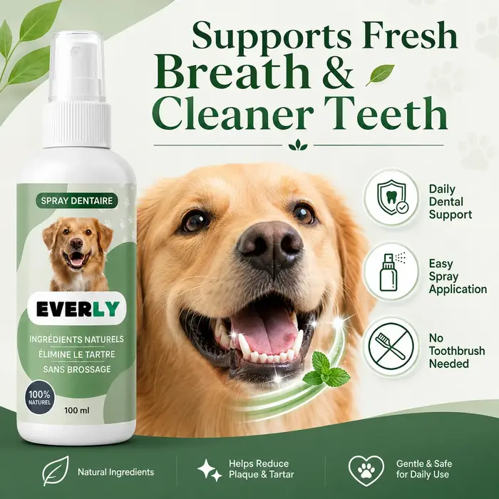 Spray de soin dentaire pour chien 100 ml, spray d'hygiène buccale sans brossage - rafraîchisseur d'h