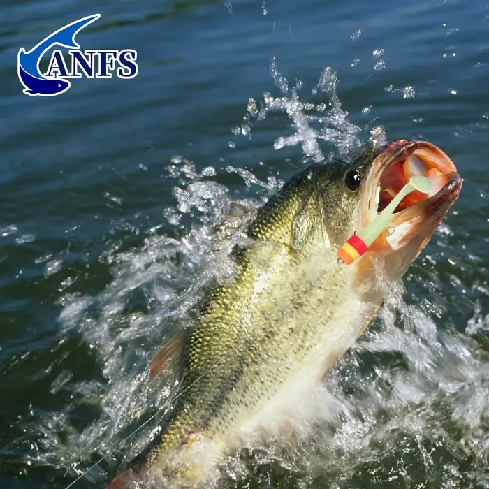 ANFS 10 pièces Euro Kit de leurre de pêche-appât artificiel Premium pour perche