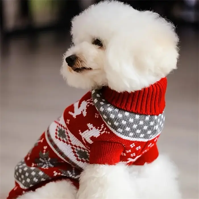 Pull pour animaux de compagnie de Style noël pour chiens et chats