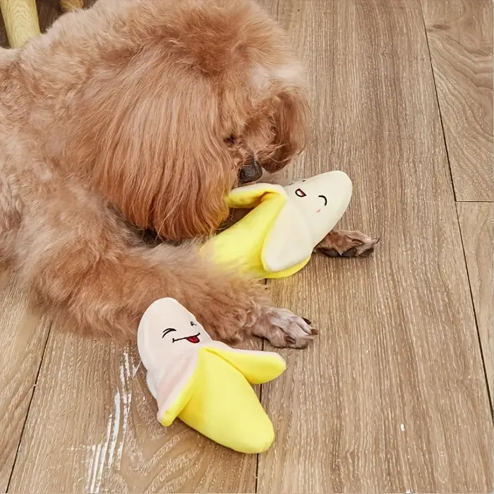 Jouet en peluche pour chien