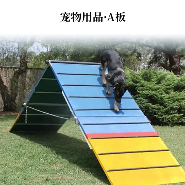 Planche d'entraînement agile pour chiens en métal avec hauteur ajustable pour chiens plus de 14 ans activités extérieures occasions spéciales