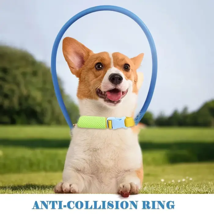Collier anti-collision pour animaux de compagnie aveugles
