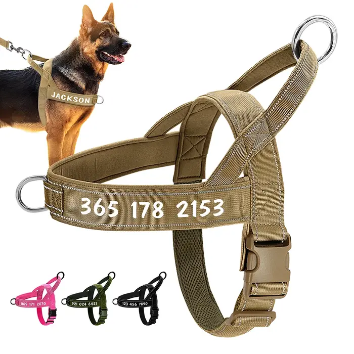 Harnais tactique militaire personnalisé pour chien