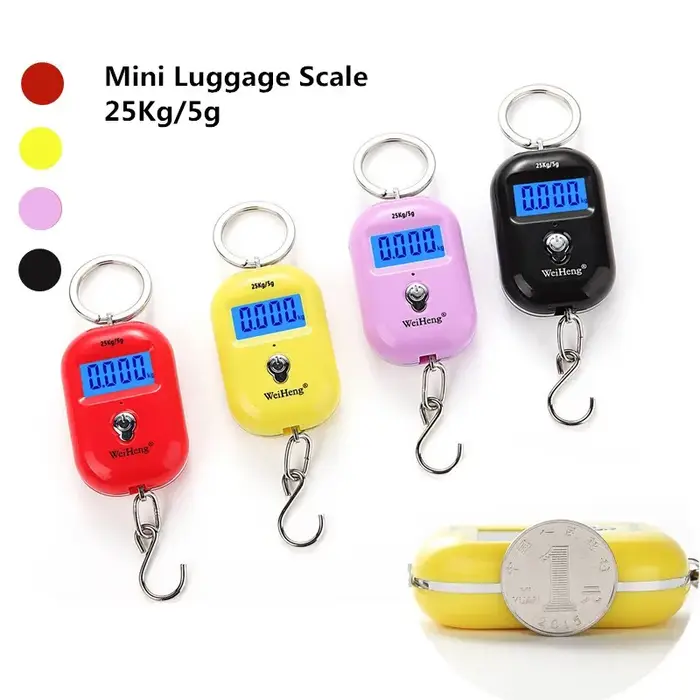 Mini Balance numérique de pêche électronique 25Kg 5g, Balance de poche pour bagages avec crochet sus