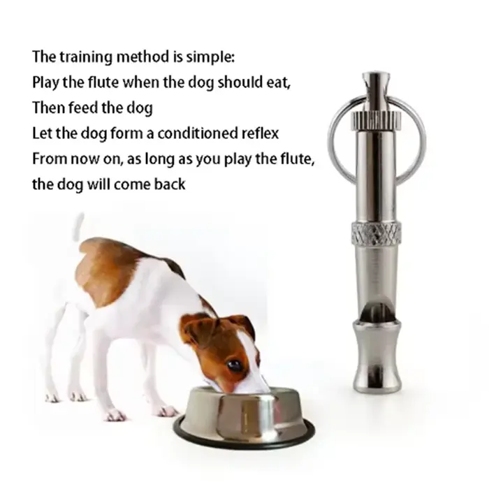 Sifflet d'entraînement ultrasonique pour flûte de chien
