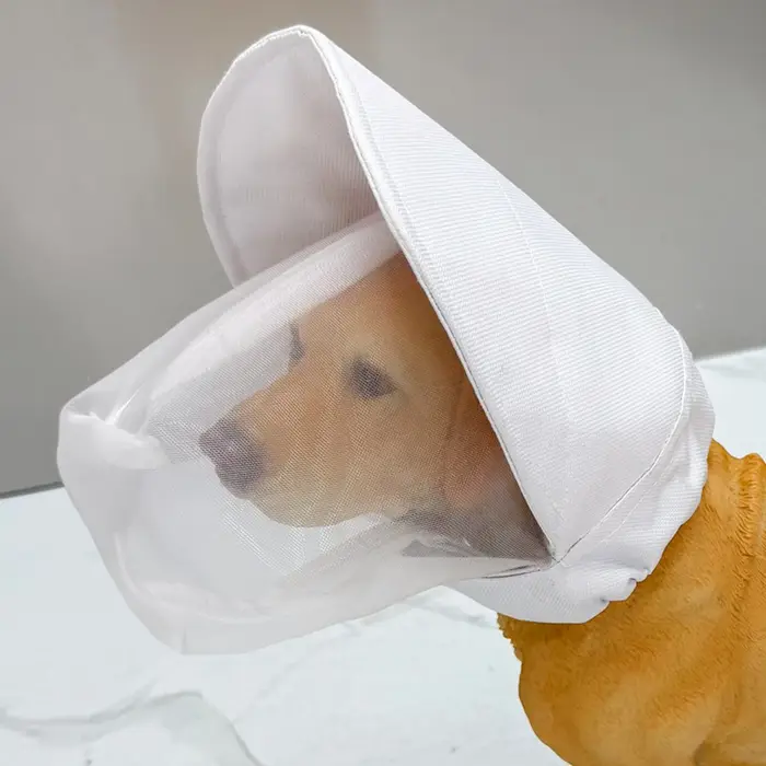 Masque de protection pour chiens pour empêcher la consommation accidentelle, empêcher les aboiements