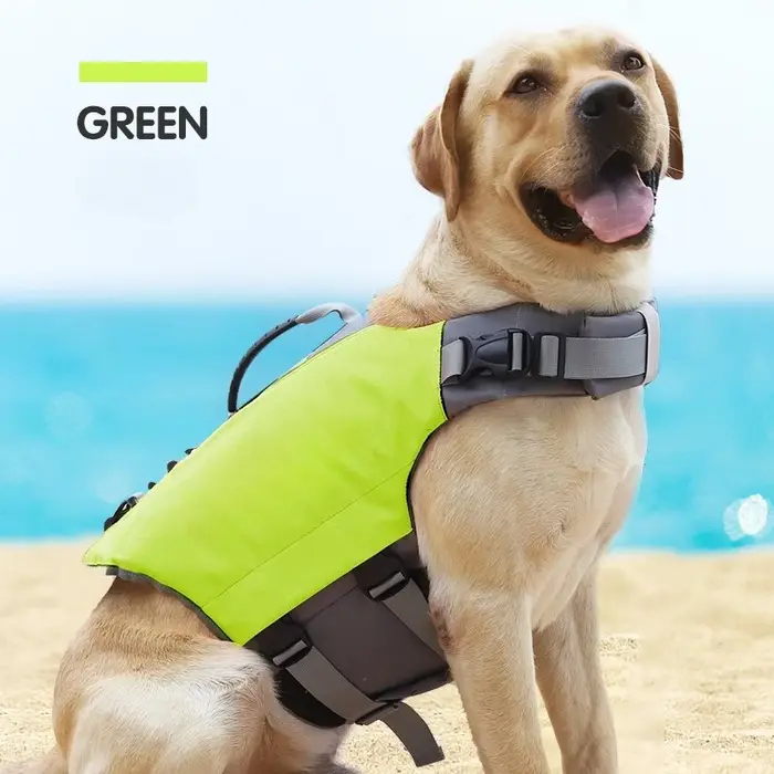 Gilet de sauvetage pour chien
