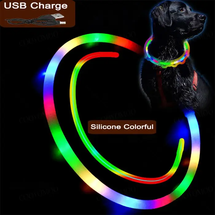 Collier de Charge Luminou pour chien
