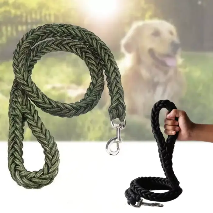 Grande laisse pour chien