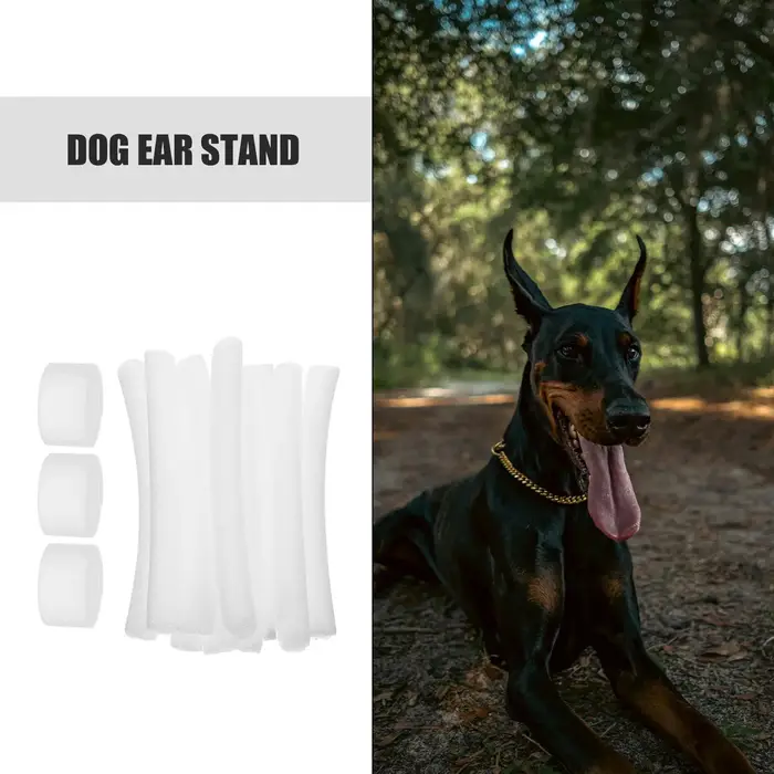 Outil de collage d'oreille de chien, outil de Support d'oreille Doberman, tiges de Support d'oreille
