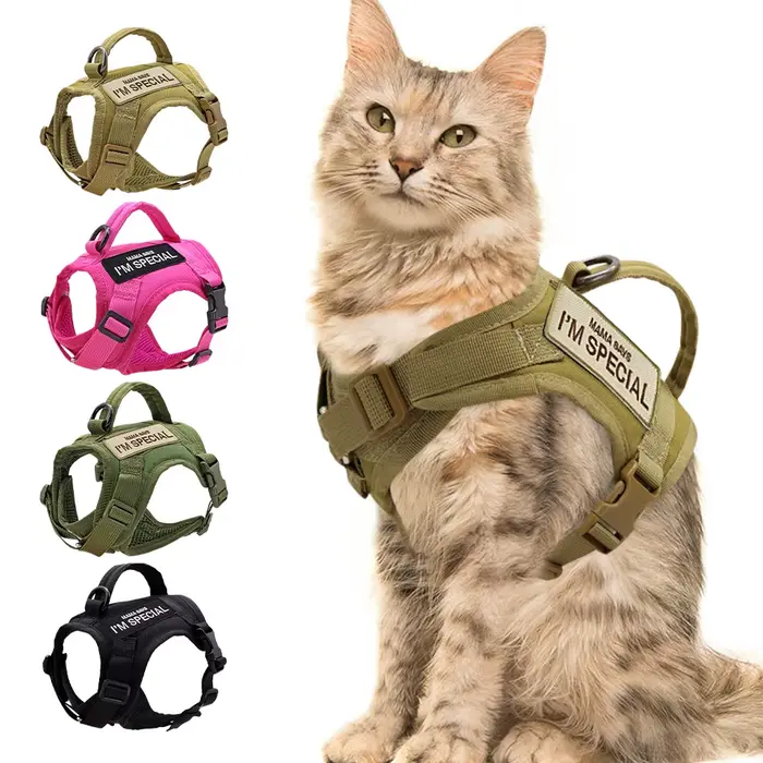 Harnais en Nylon pour chat, gilet avec 2 autocollants, harnais tactique militaire pour chats avec po