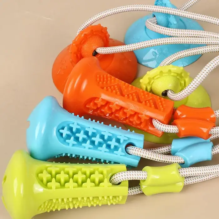 Jouet à mâcher pour chien avec ventouse