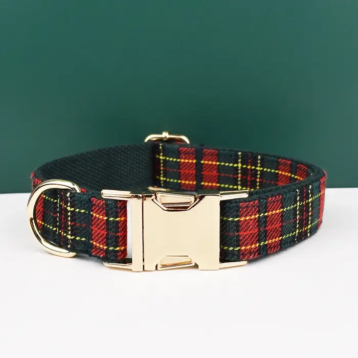 Laisse pour chien avec impression Glaid unique, accessoires pour chien pour pitbull, bull terrier, R