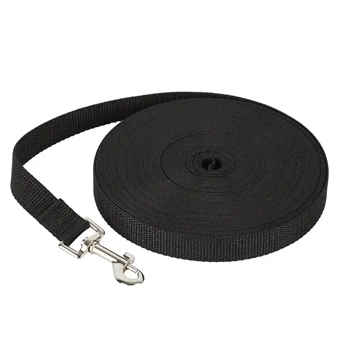 Laisse pour chien pour chiens de taille moyenne