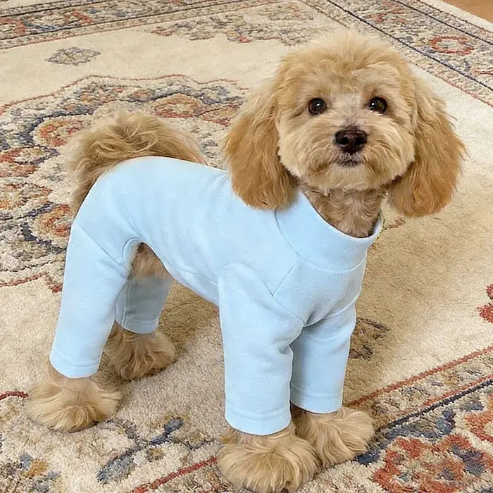 Combinaison chaude pour animaux de compagnie, automne-hiver, Dralon, quatre pattes, vêtements pour petit chien, Teddy, Bichon, Pomeranian, Schnauzer