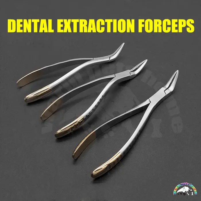Pince d'extraction dentaire pour chien et chat, outil médical pour hygiène bucco-dentaire, kit de soins vétérinaires pour animaux de compagnie