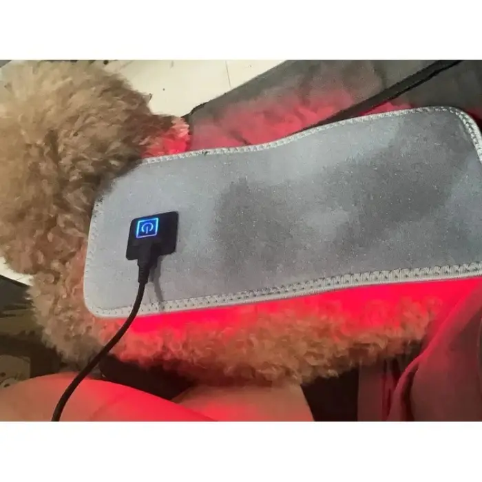 Équipement de physiothérapie de thérapie LED à lumière rouge à usage vétérinaire pour soulager la do
