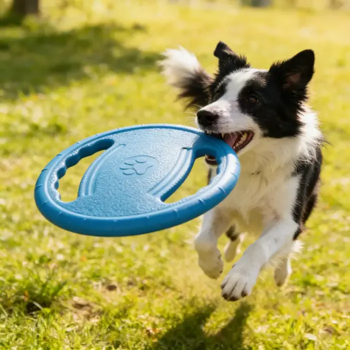 Jouet pour chien Eva Flying Disc