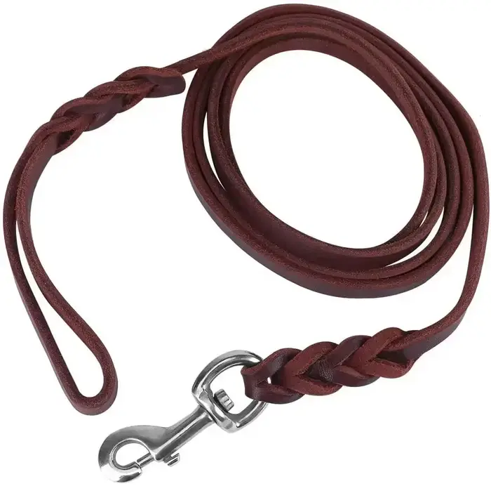 Laisse pour chien en cuir véritable, longue laisse tressée pour animaux de compagnie, laisse d'entra