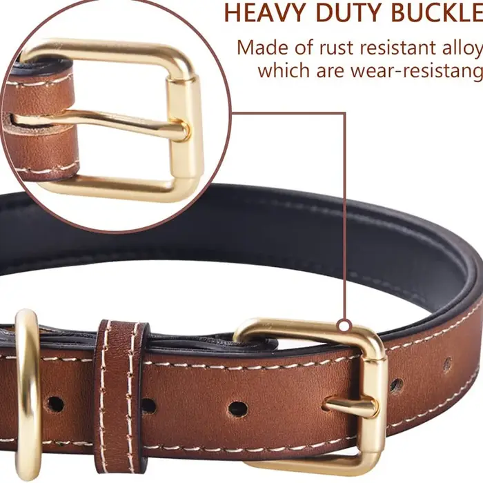 Collier de chien rembourré en cuir véritable