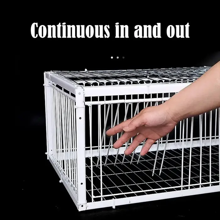Piège automatique pour oiseaux