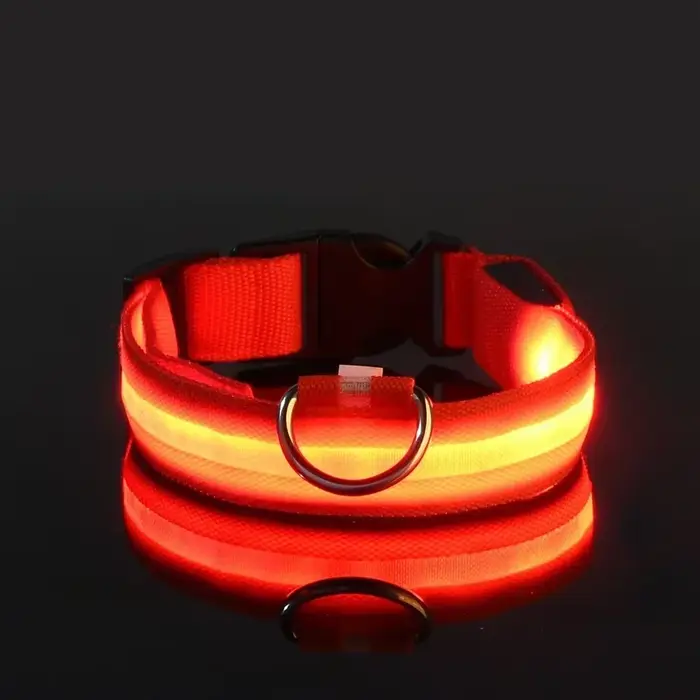 Collier pour chien en Nylon LED sécurité nocturne clignotant lueur dans la nuit laisse