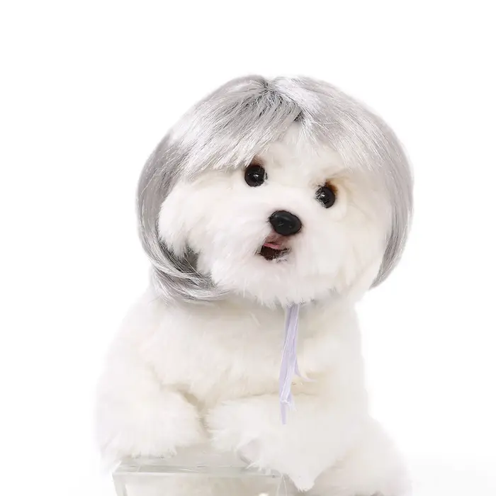 Collection de perruques pour chiens, Cosplay amusants, Festivals, fêtes, vêtements décoratifs pour c