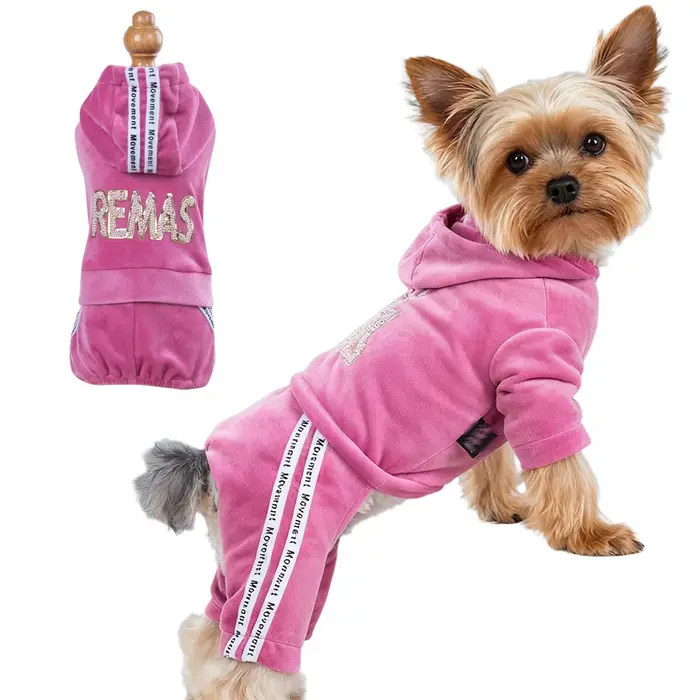Vêtements pour chiens de petite fille