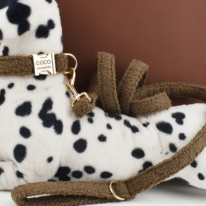 Ensemble collier et laisse pour chien en velours Teddy plaque nominative personnalisable pour promenade élégante et confortable chiens de petite moyenne et grande taille