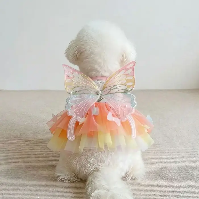 Robes pour chat et chien