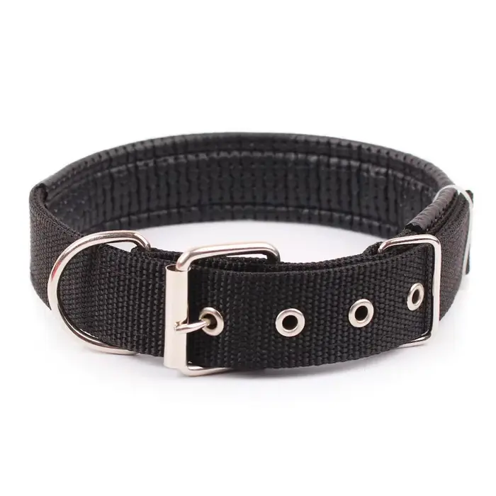 Colliers solides pour chiens, collier en nylon pour chiens de petite, moyenne et grande taille, Tedd