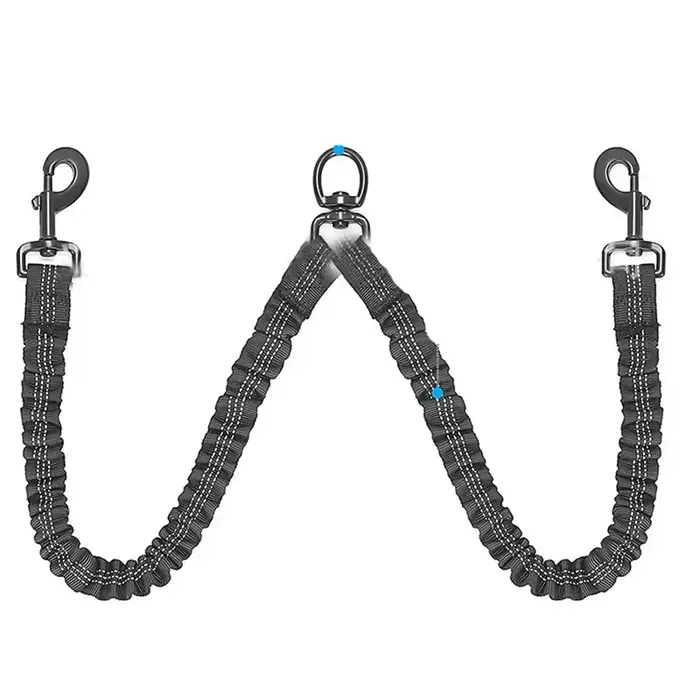 Laisse pour chien, corde pour chien à double extrémité, corde élastique absorbant les chocs, chaîne 