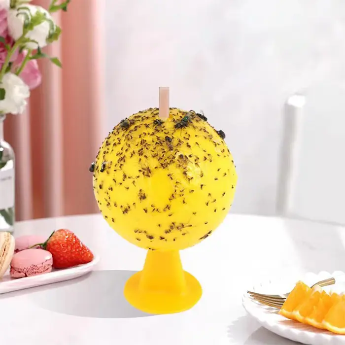 Pièges à mouches des fruits