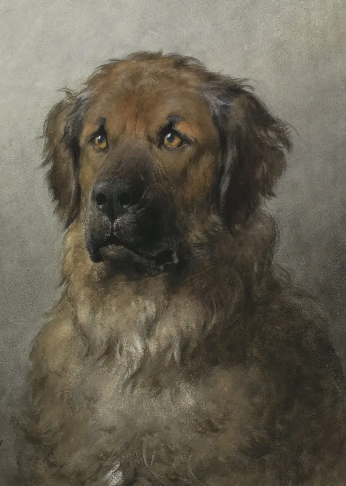Affiche vintage avec portrait de chien, impression artistique rustique antique, peinture sur toile, 