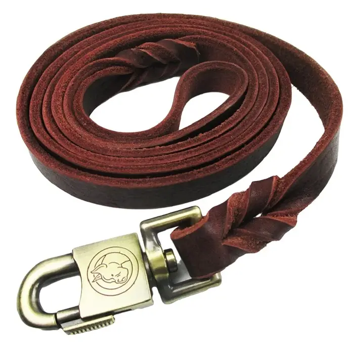 Laisse longue en cuir véritable tressé pour chien, idéale pour la promenade et l'entraînement, corde