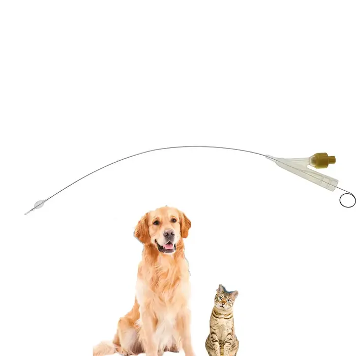 Cathéter urinaire à double cavité pour chats et chiens