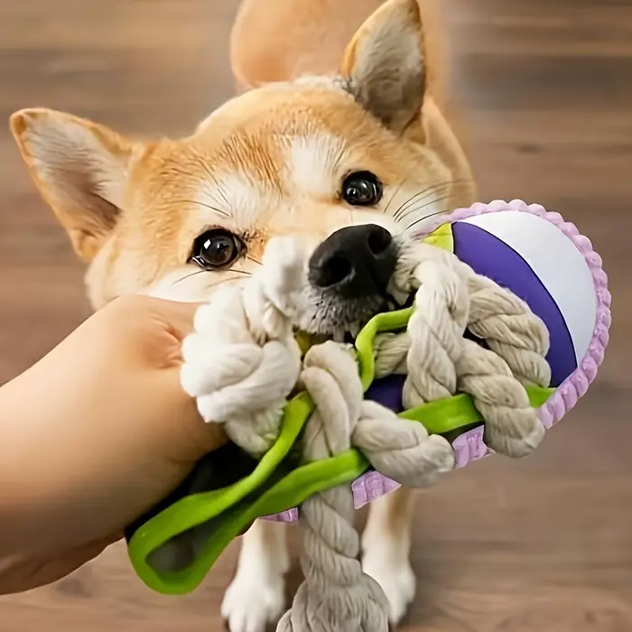 Jouet pour chien en toile avec nœud en corde, jouet interactif à mâcher, jouet d'entraînement pour c